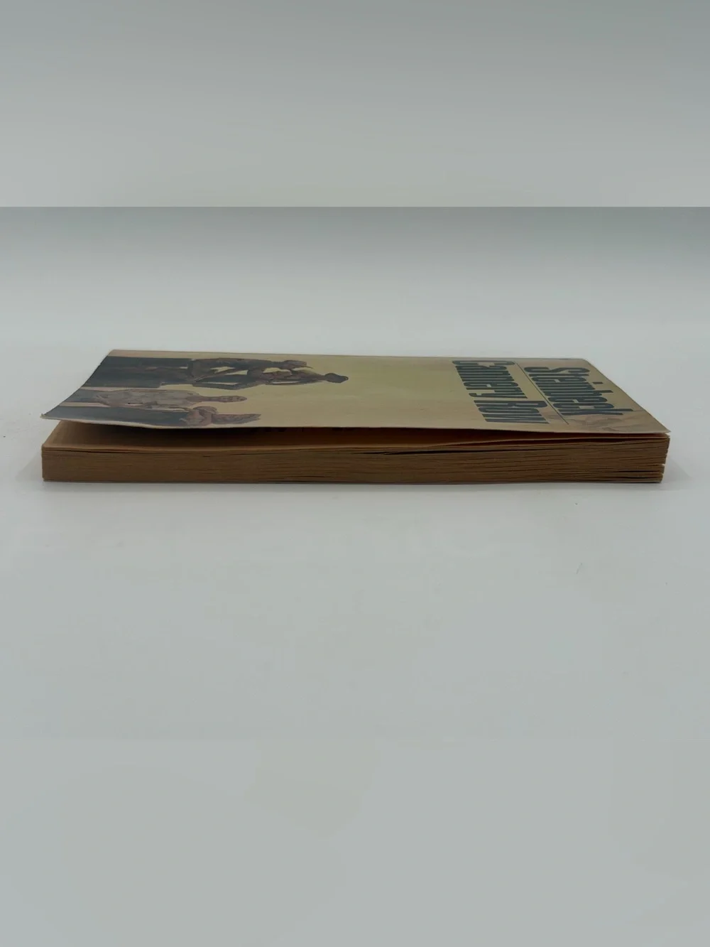 Cannery Row by John Steinbeck Vintage Paperback Book 1988